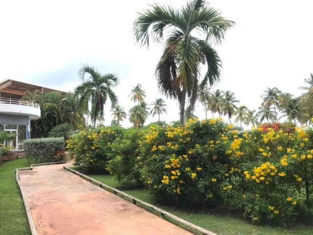 Bonheur A La Residence Savane 哥西尔 外观 照片